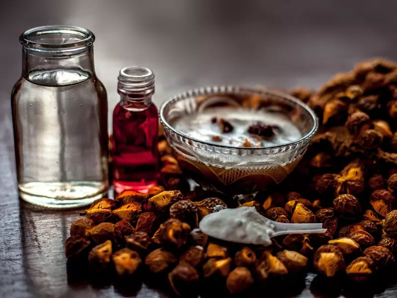 Soapnut