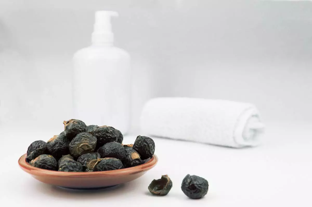 Soapnut